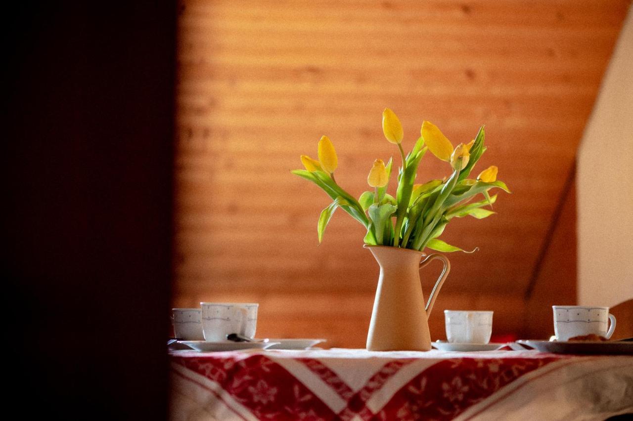 Bodensee Apartments, Sauna, Lake Walks, Free Parking, Self Checkin, Nature Reserve, Restaurants Nearby Gaissau  Ngoại thất bức ảnh